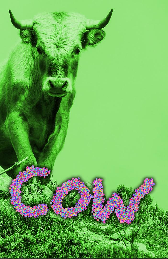 A green tinted photo of a horned cow looking down, viewed from ground level. The word COW spelled in pink and white flowers above the ground.