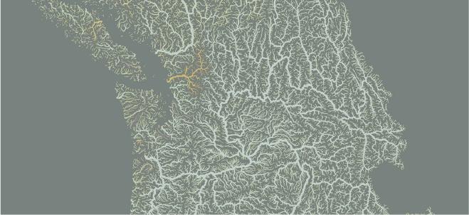 monotone map showing densely packed lines of waterflow on a body of land