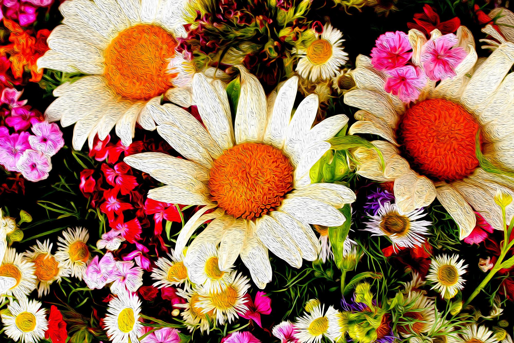 daisies and wildflowers, stylized to look painted, fill the image