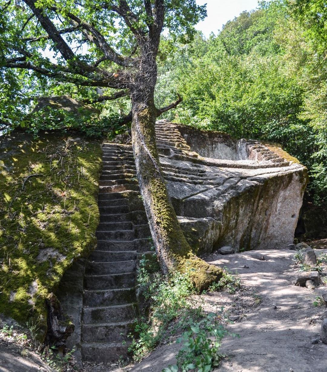 winding stone stairs surrounded by lush trees and bushes