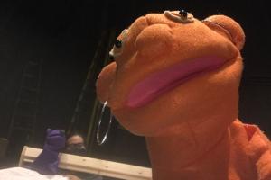 an orange puppet is regarding you