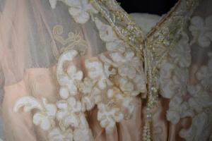 Detail shot of guazy pale pink dress with lace and gold embroidery at the neckline