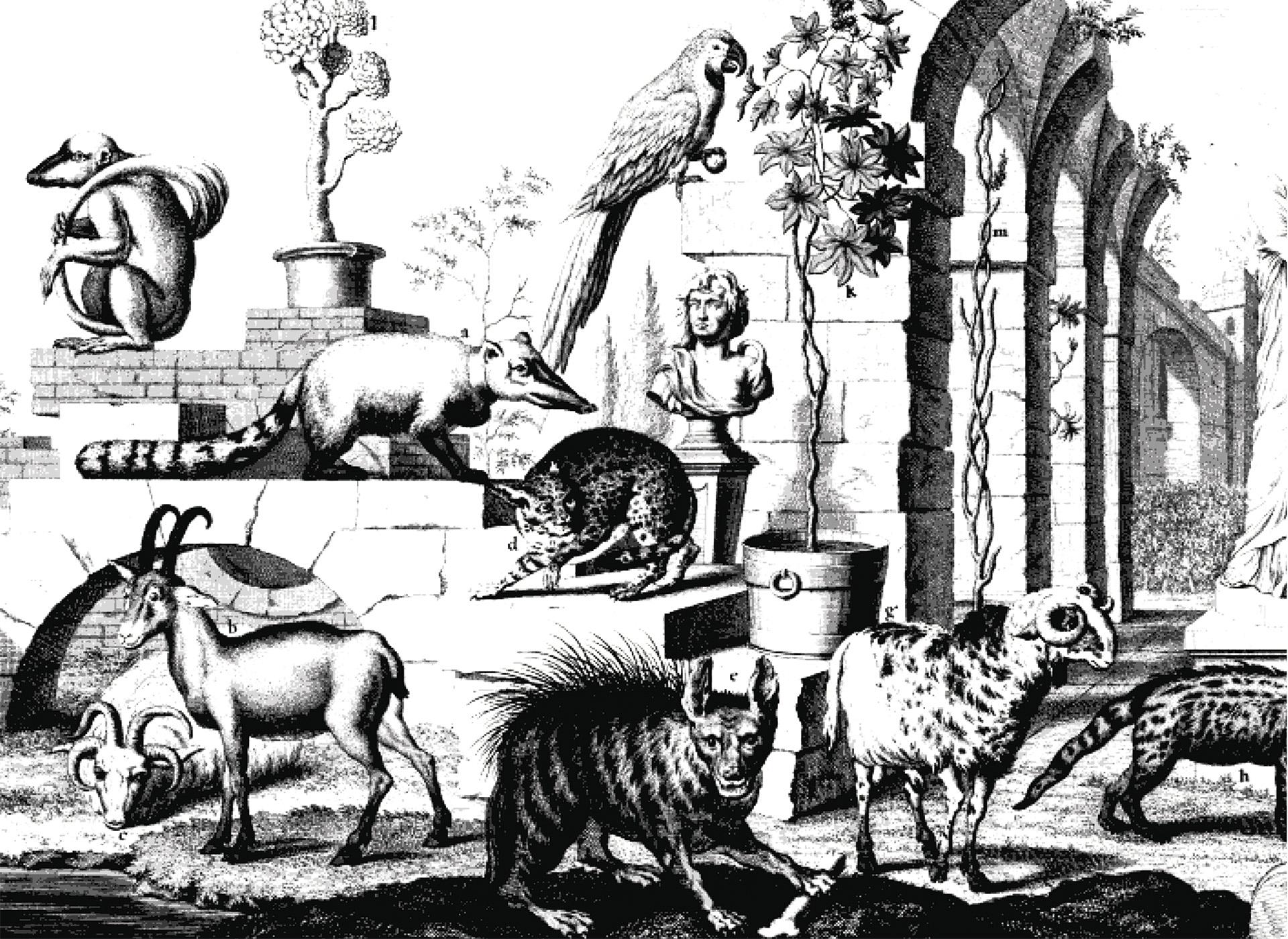 a variety of wild animals in a classical stone courtyard