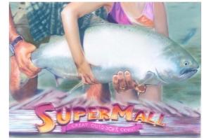 artwork of a young girl and adult man holding a large fish. A sign reads SuperMall: Great Outdoors Court