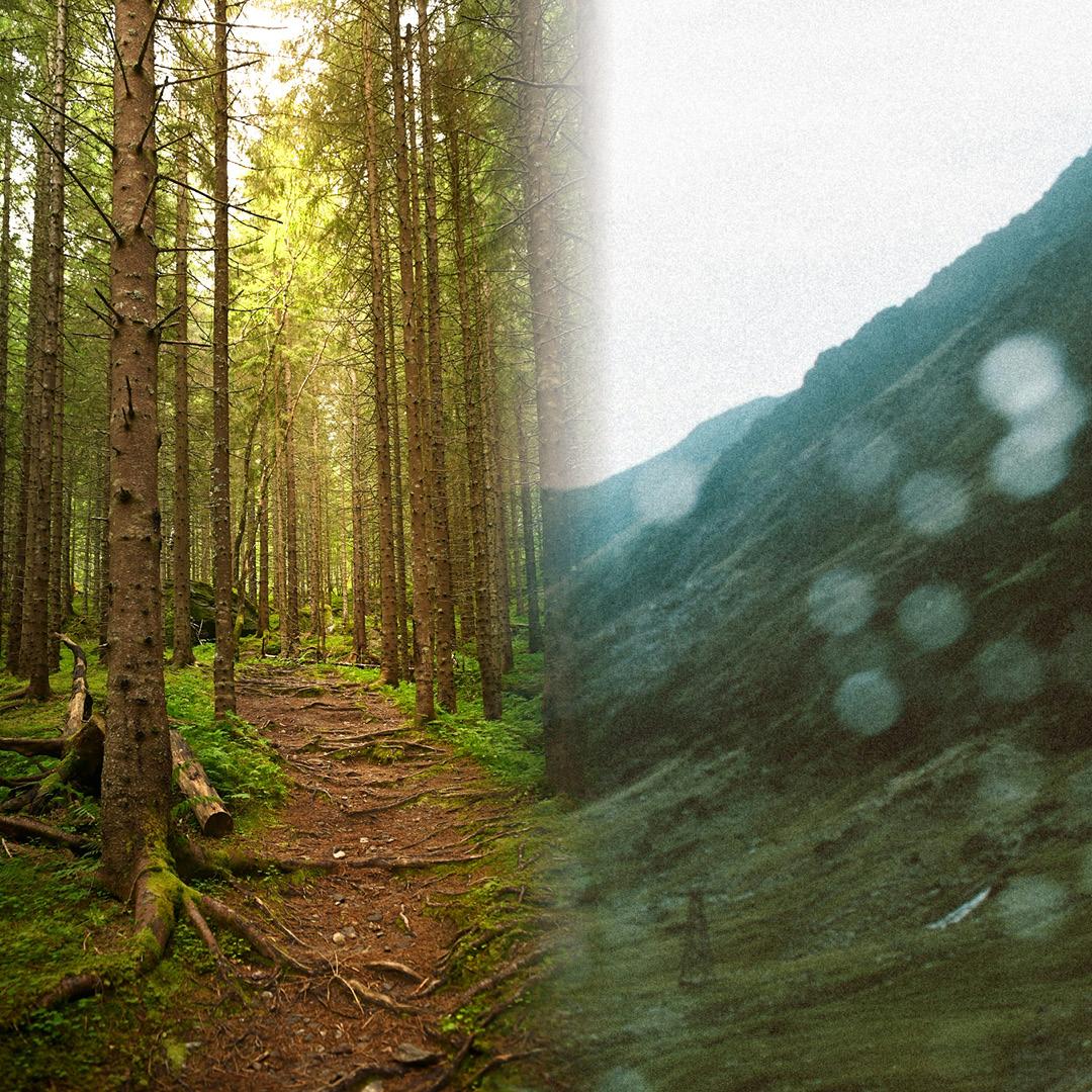 left to right: photo of a trail through the woods, fading into a photo of a mountain side in the rain